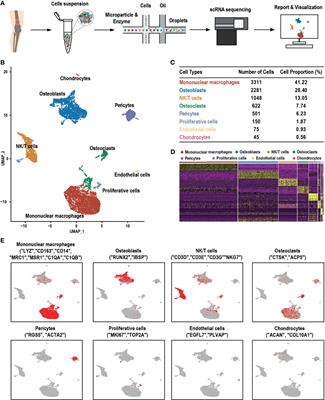 Single-Cell RNA Sequencing Reveals the Migration of Osteoclasts in Giant Cell Tumor of Bone